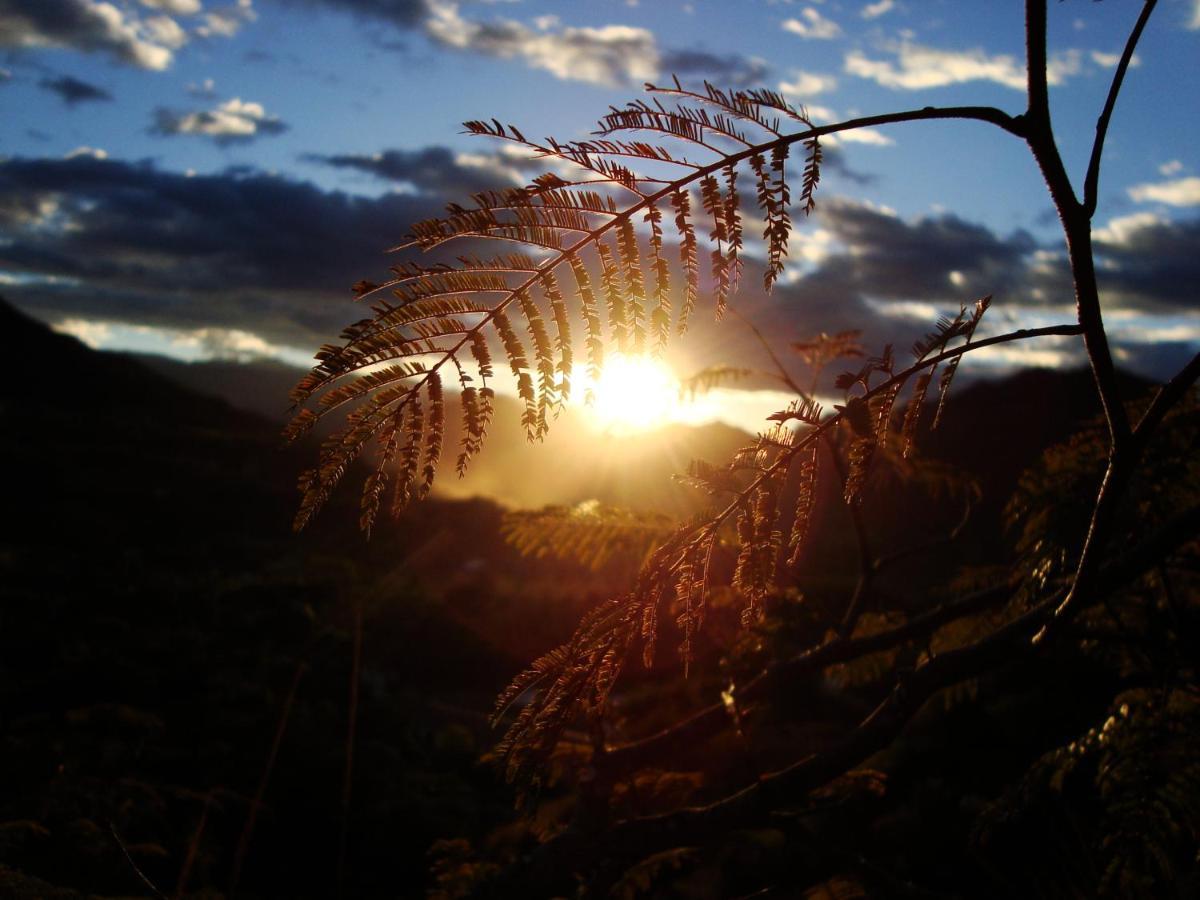 Rumi Wilco Ecolodge & Nature Reserve-Cabanas & Camping Vilcabamba Exteriér fotografie