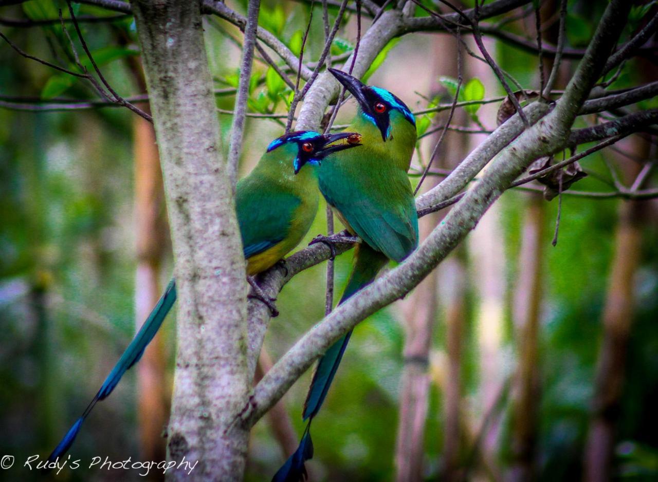 Rumi Wilco Ecolodge & Nature Reserve-Cabanas & Camping Vilcabamba Exteriér fotografie